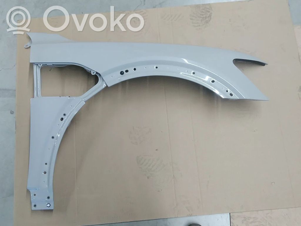 Audi e-tron Fender 