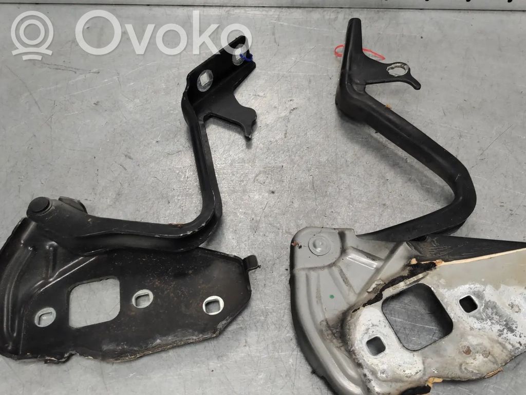 Ford Ka Dzinēja pārsega eņģe (-es) 