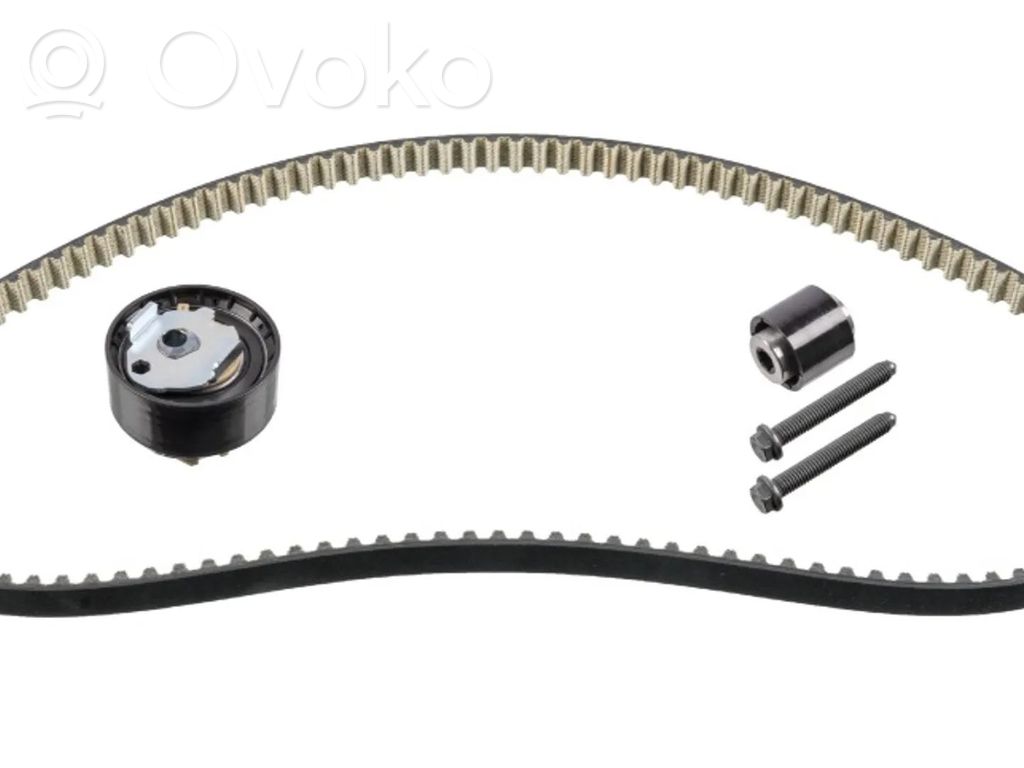 Citroen C3 Timing chain (engine) 