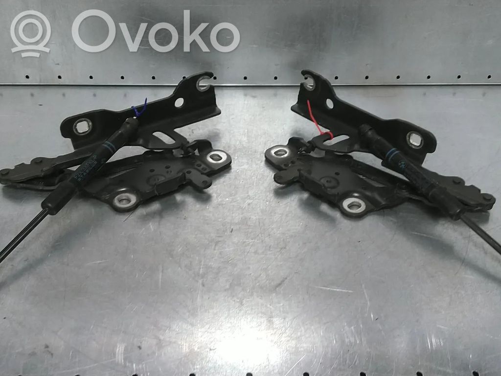 BMW 3 F30 F35 F31 Balamale capotă 