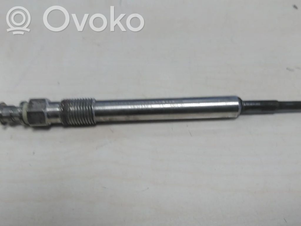 Hehkutulppa   0250603006,12230035934