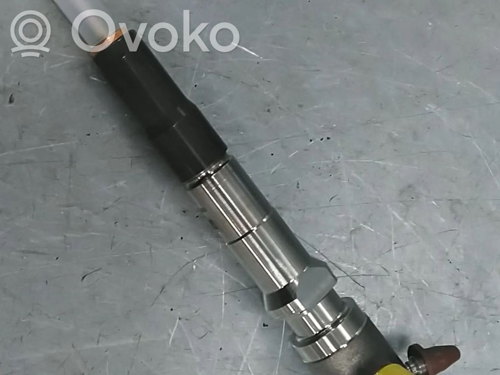 Ford Edge II Fuel injector 