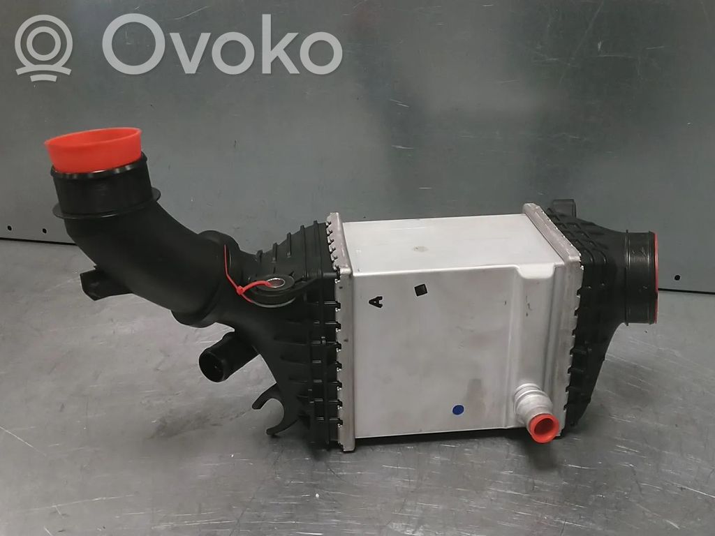 BMW XM Interkūlerio radiatorius 