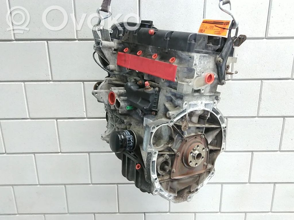 Ford Fiesta Variklis 