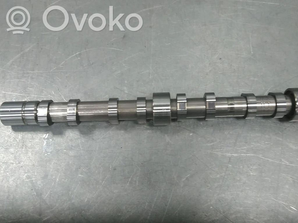 Volkswagen Tiguan Albero a camme 