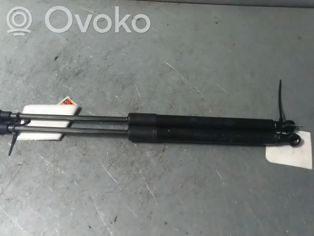 Renault Twingo II Amortizor hayon