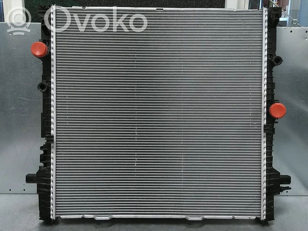 BMW X5 G05 Radiatore di raffreddamento 