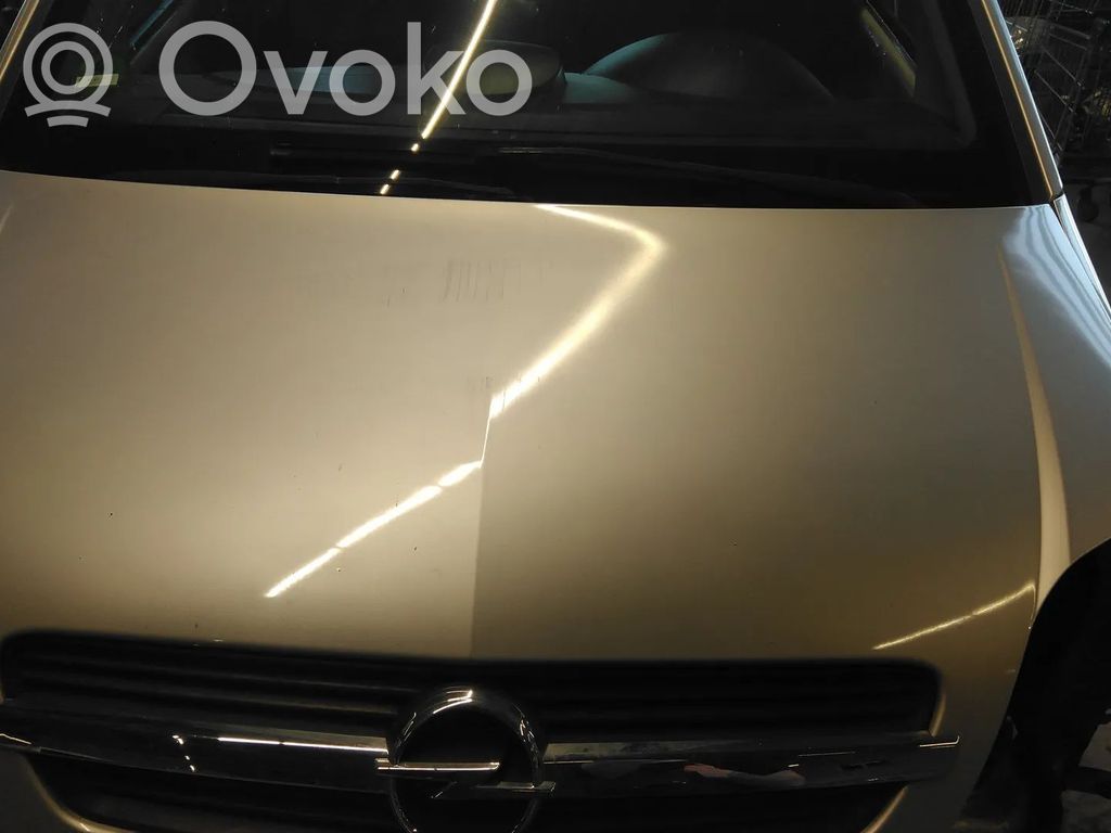 Opel Meriva A Konepelti