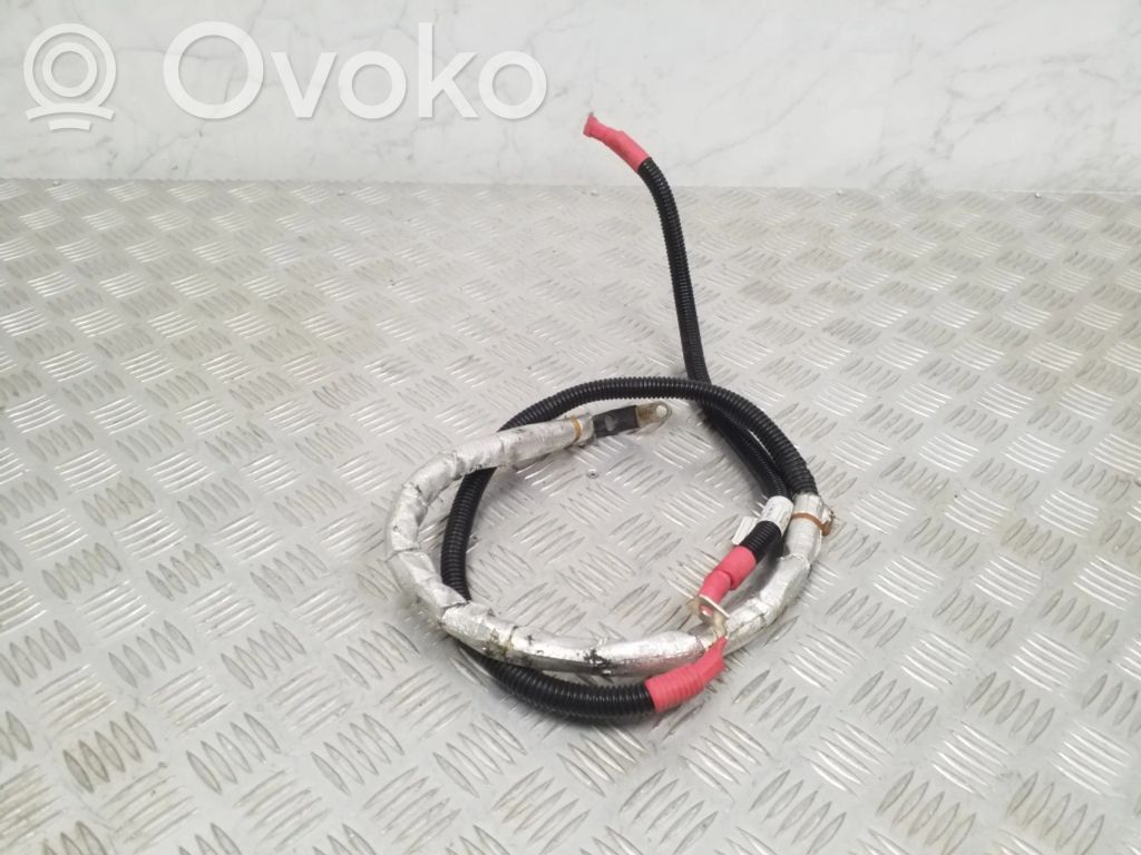 BMW 3 F30 F35 F31 Pliusinis laidas (akumuliatoriaus) 