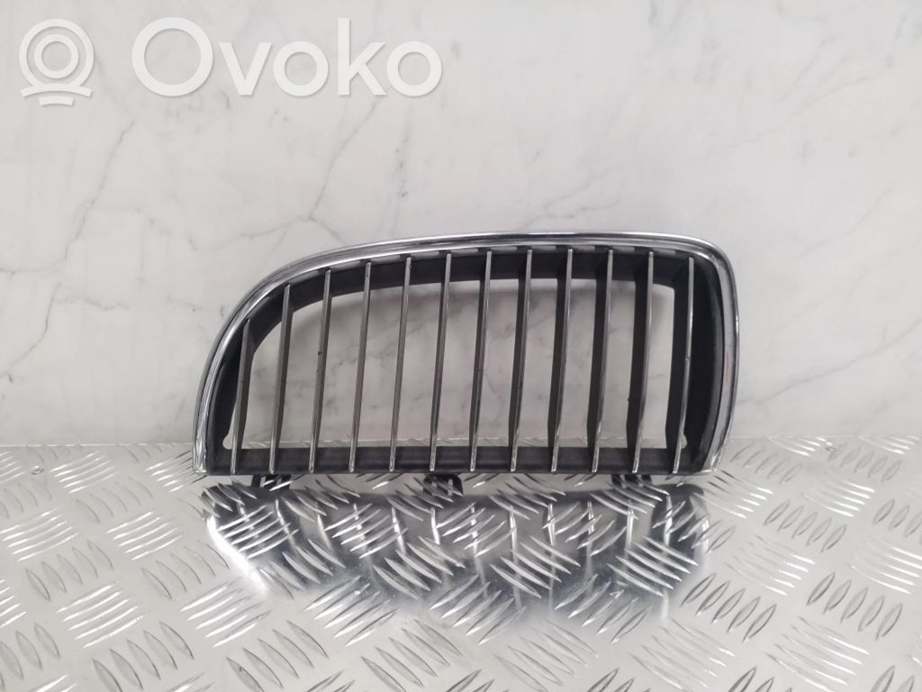 Front grill   7120009