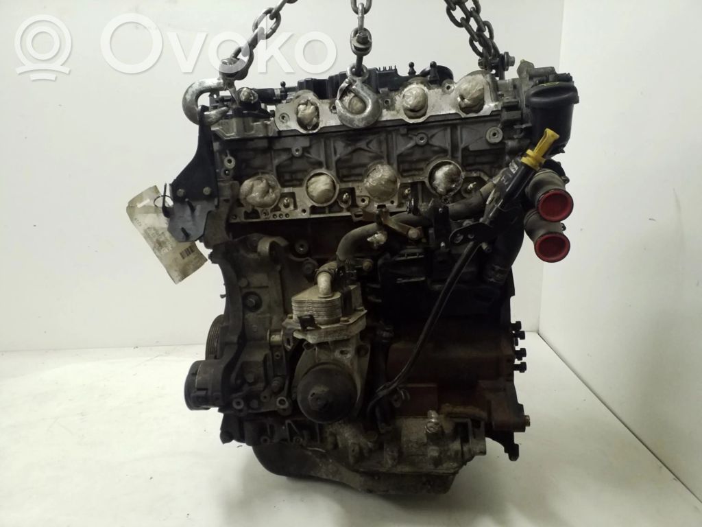 Motor   10DZ60