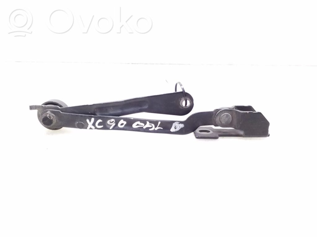 Tailgate/trunk/boot hinge   8659076