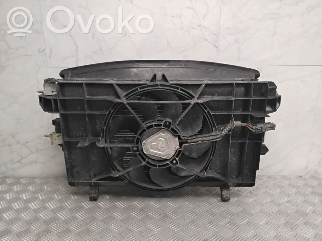 Radiator set   107708100D