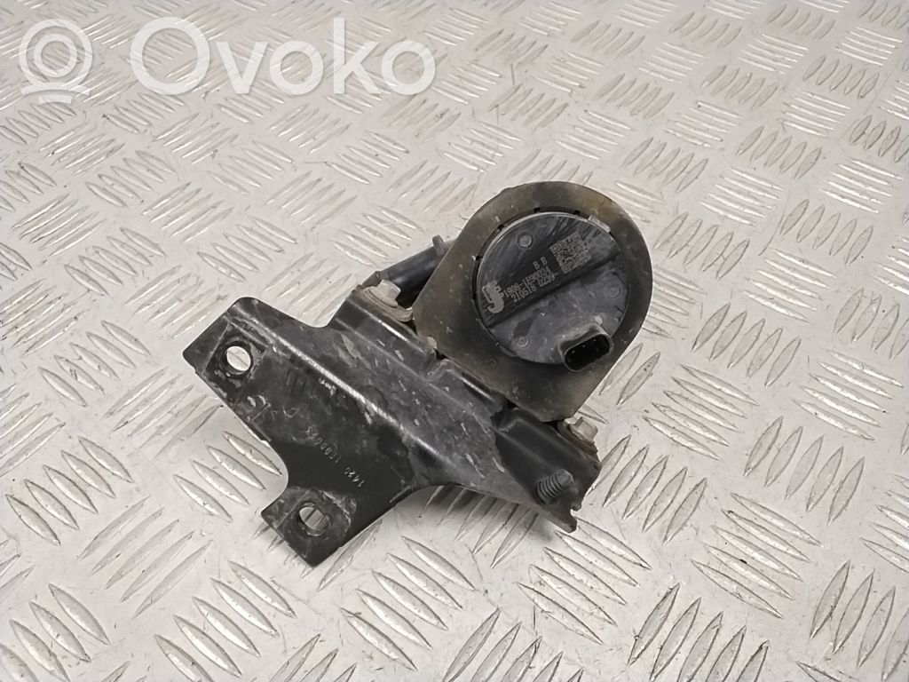 Ford Mach-E I Elektriskais cirkulācijas sūknītis 