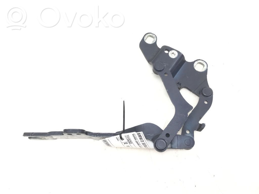Scharnier Motorhaube   7115263