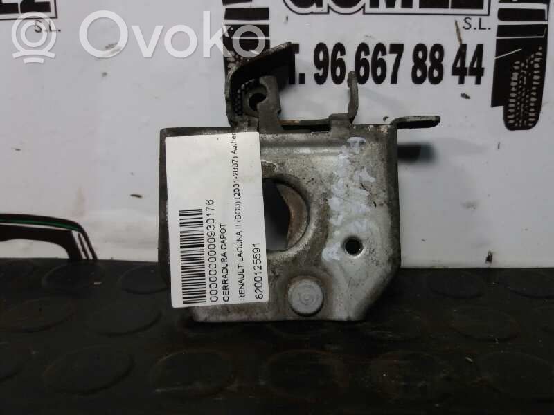 Tie down hook / loop   8200125591
