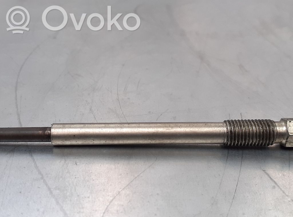 Hehkutulpan esikuumennuksen rele   0250204001