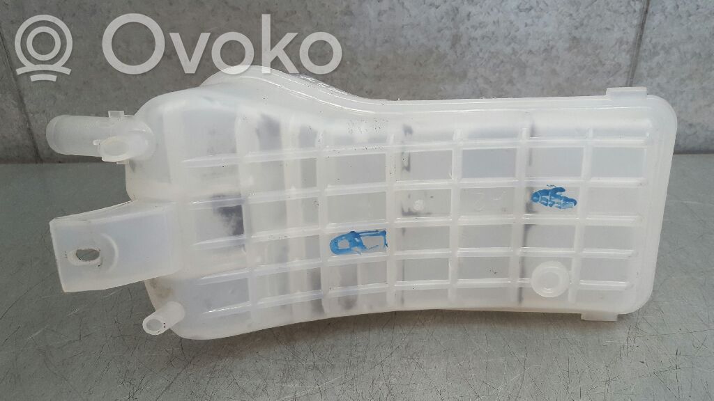 Citroen Xsara Serbatoio di compensazione del liquido refrigerante/vaschetta 