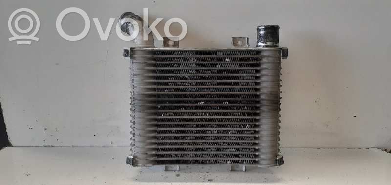 Hyundai H-1, Starex, Satellite Radiatore intercooler