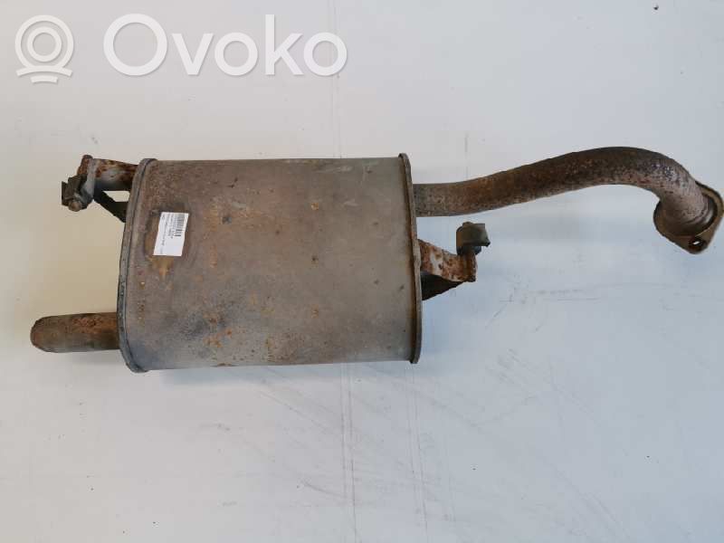 Galinė pūslė   10G01