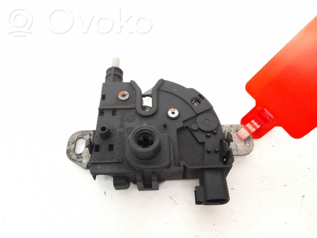 Ford Focus Tie down hook / loop 