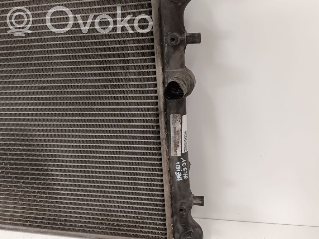 Seat Ibiza III (6L) Radiator lichid răcire 