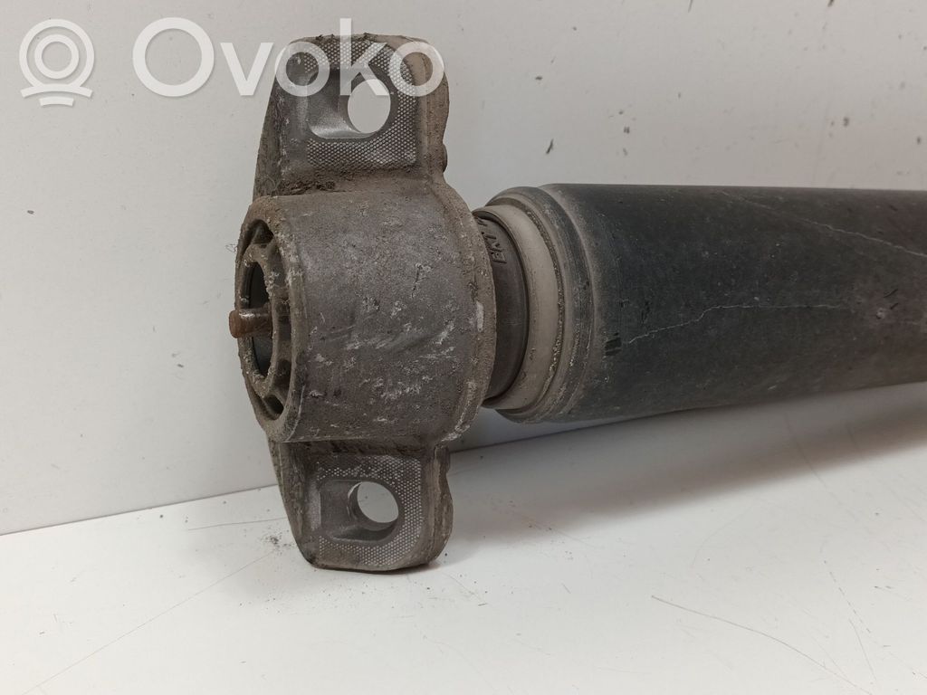 Stoßdämpfer hinten   13279263