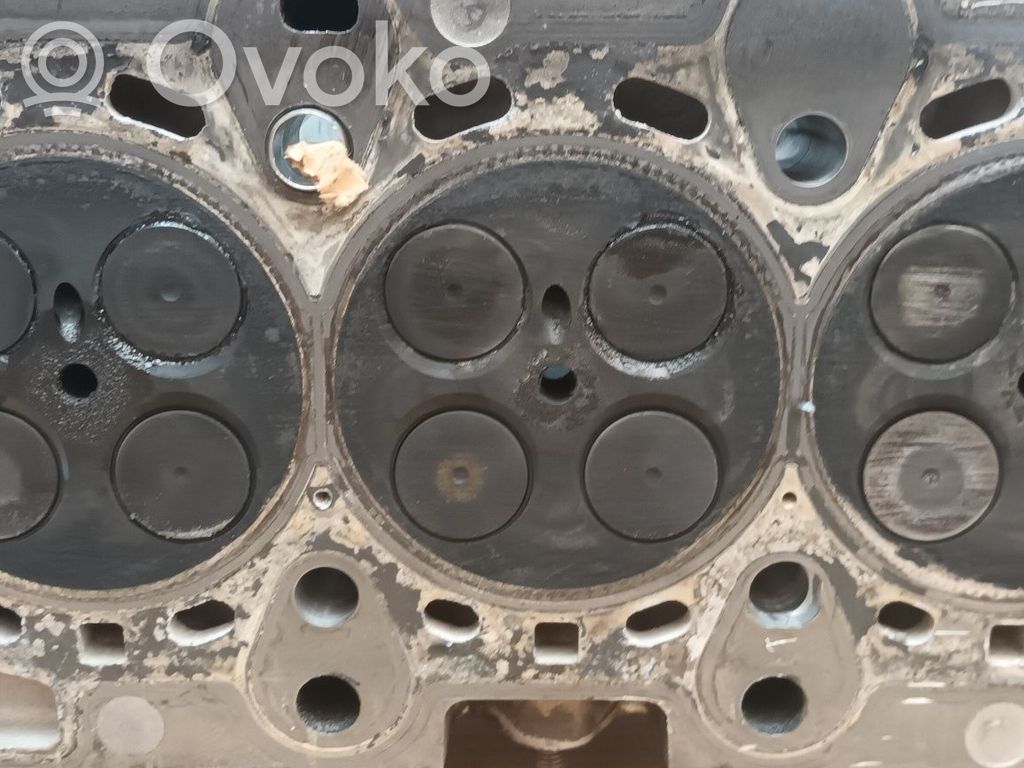 Engine head   77885819