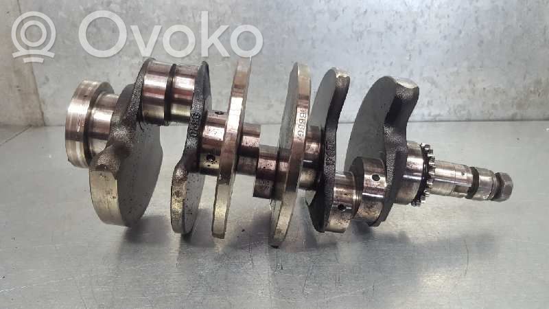 Crankshaft   059105019AE