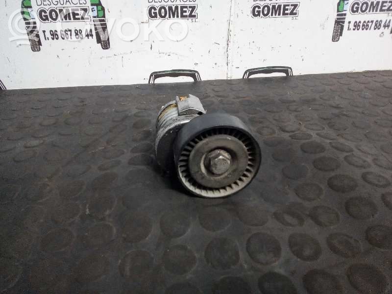 Tensor de correa del alternador   030109243K