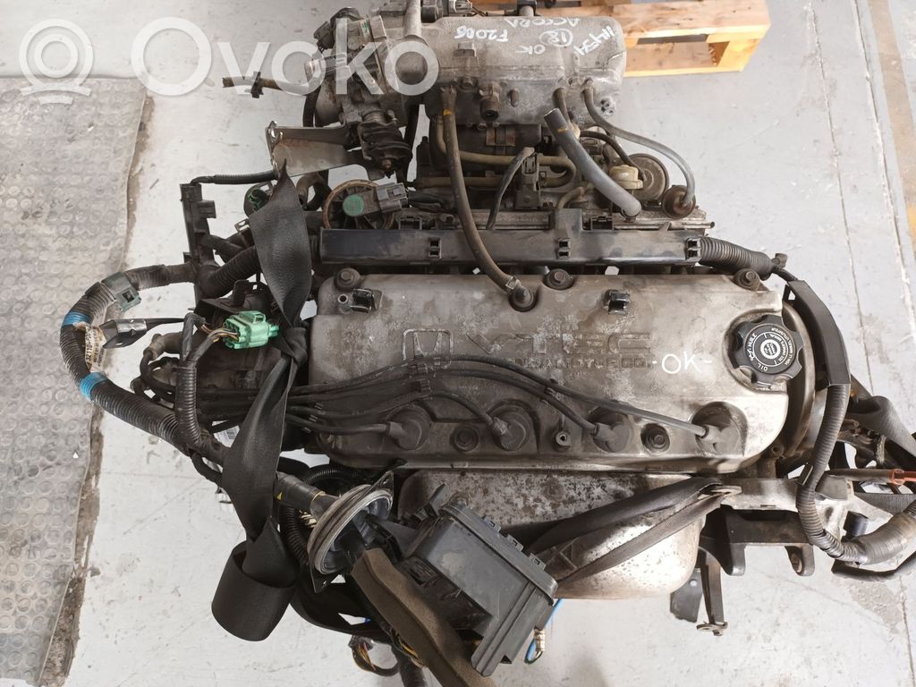 Honda Accord Motor 