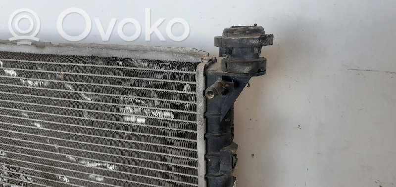 Aušinimo skysčio radiatorius   98AB8005PC