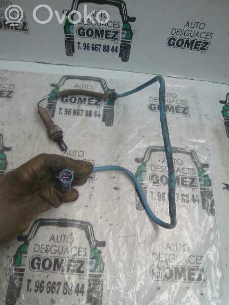 Sonde lambda   1S7F9G444BA
