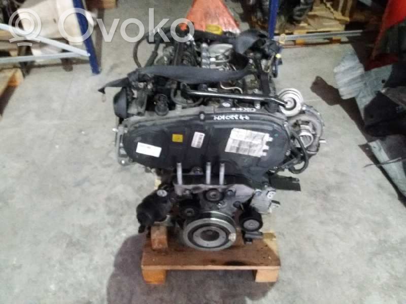 Fiat Linea Motor 