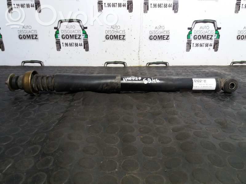 Stoßdämpfer hinten   1069132117F