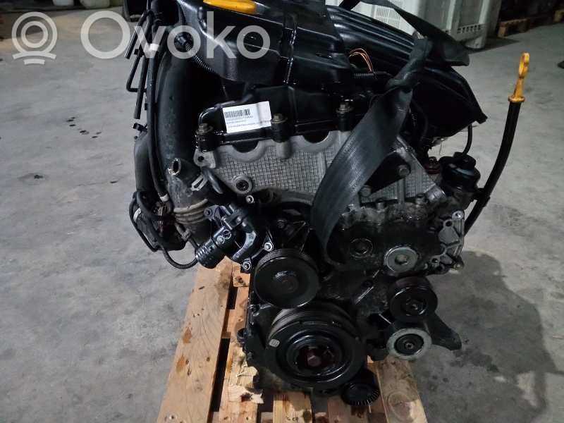Motor   204D4