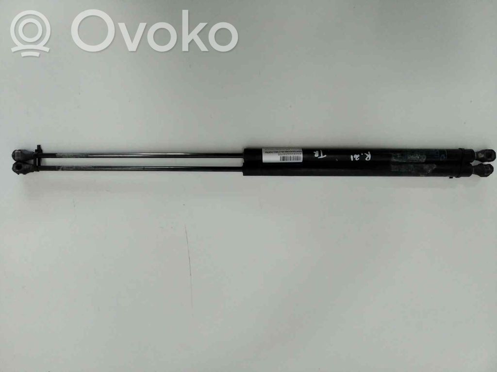 Tailgate/trunk strut/damper   7700795698