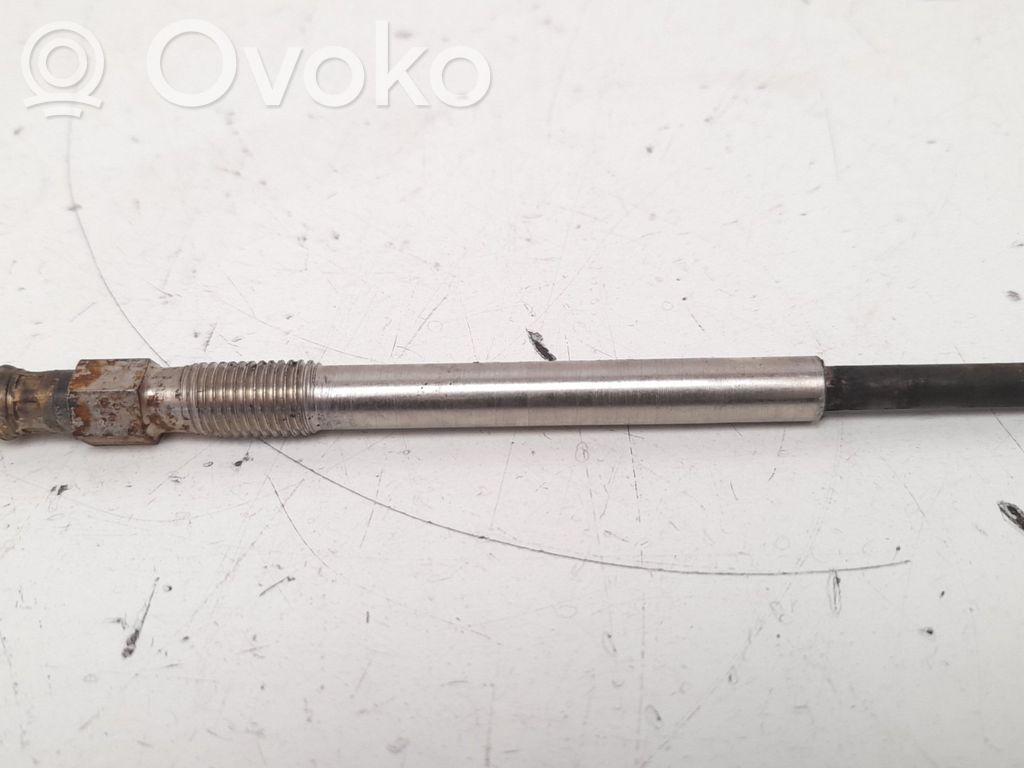 Hehkutulppa   0100276012