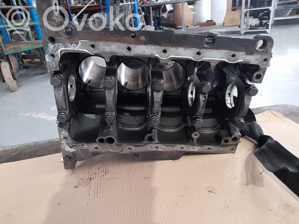 Volkswagen Golf Plus Bloque de motor 