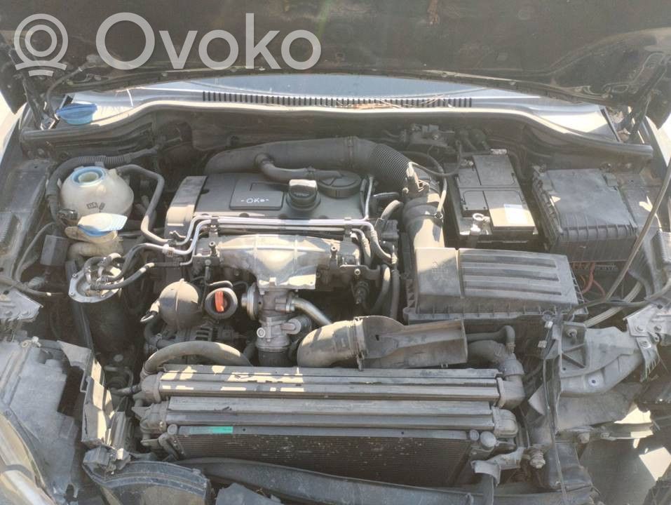 Seat Leon (1P) Motore 