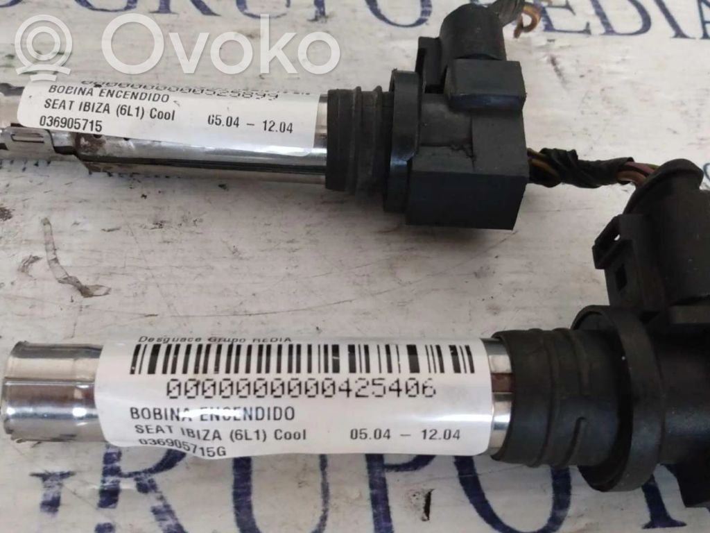 Seat Ibiza III (6L) Bobină aprindere