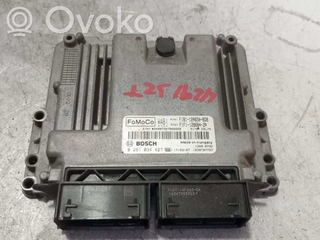 Engine control unit/module ECU   F1B112A650BDB