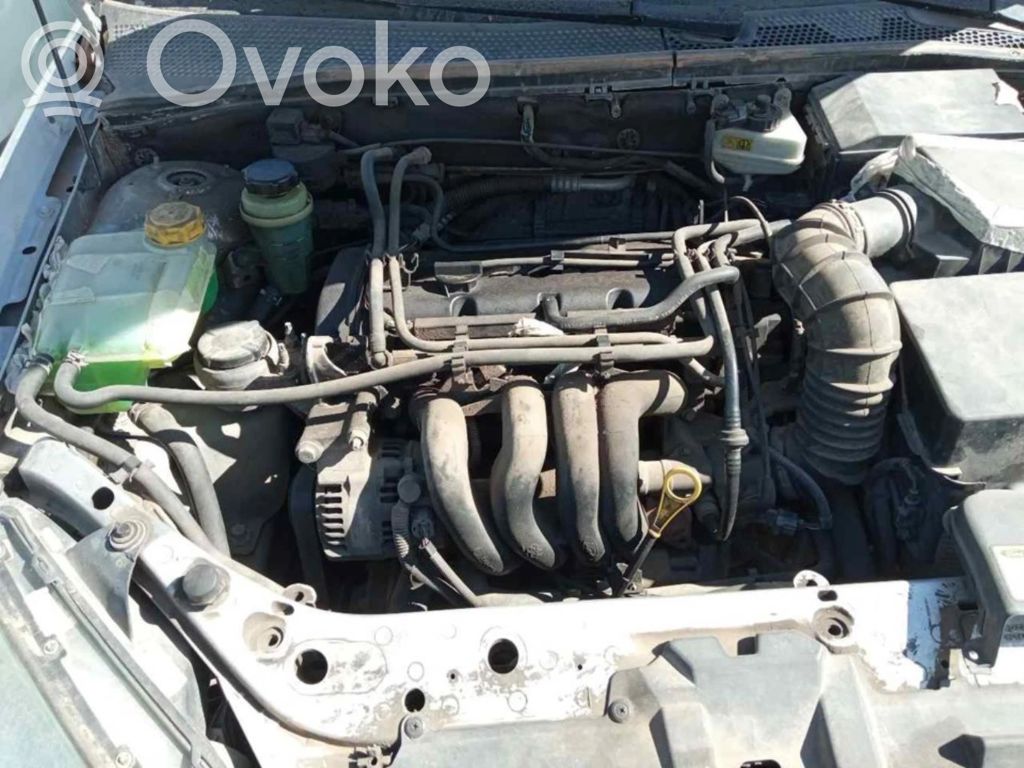 Ford Focus Motore 