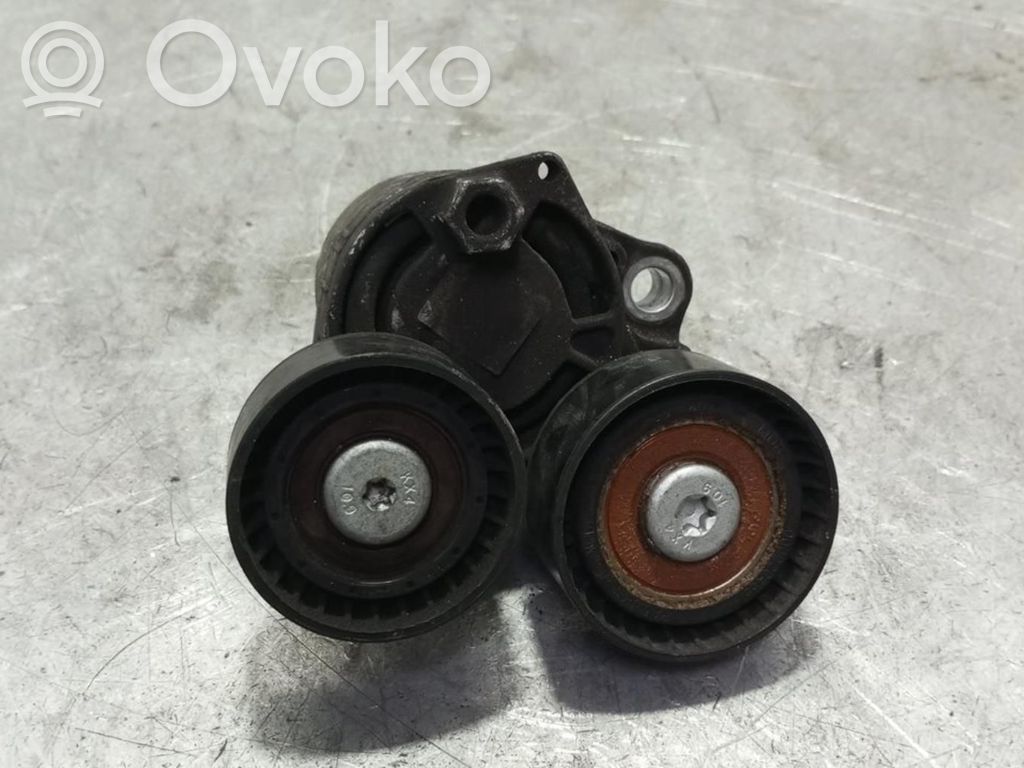 Land Rover Range Rover Evoque L538 Napinacz paska alternatora 