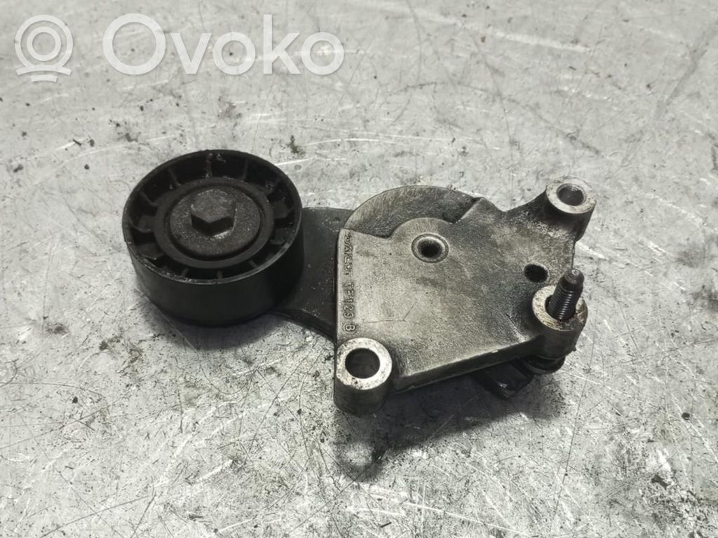 Peugeot Partner Întinzător curea generator/alternator 