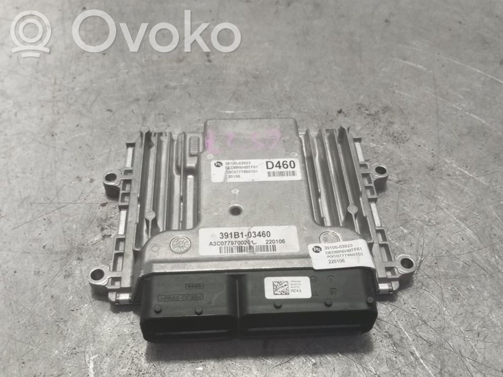 Engine control unit/module ECU   391B103460
