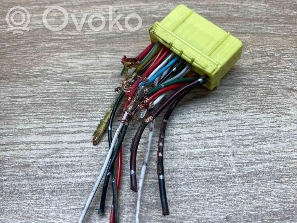 Plug wire   10765