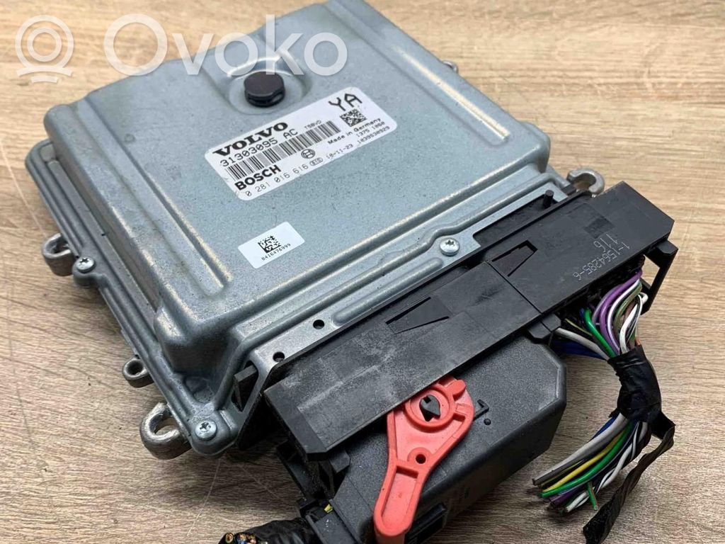 Engine control unit/module ECU   31303095AC,0281016616