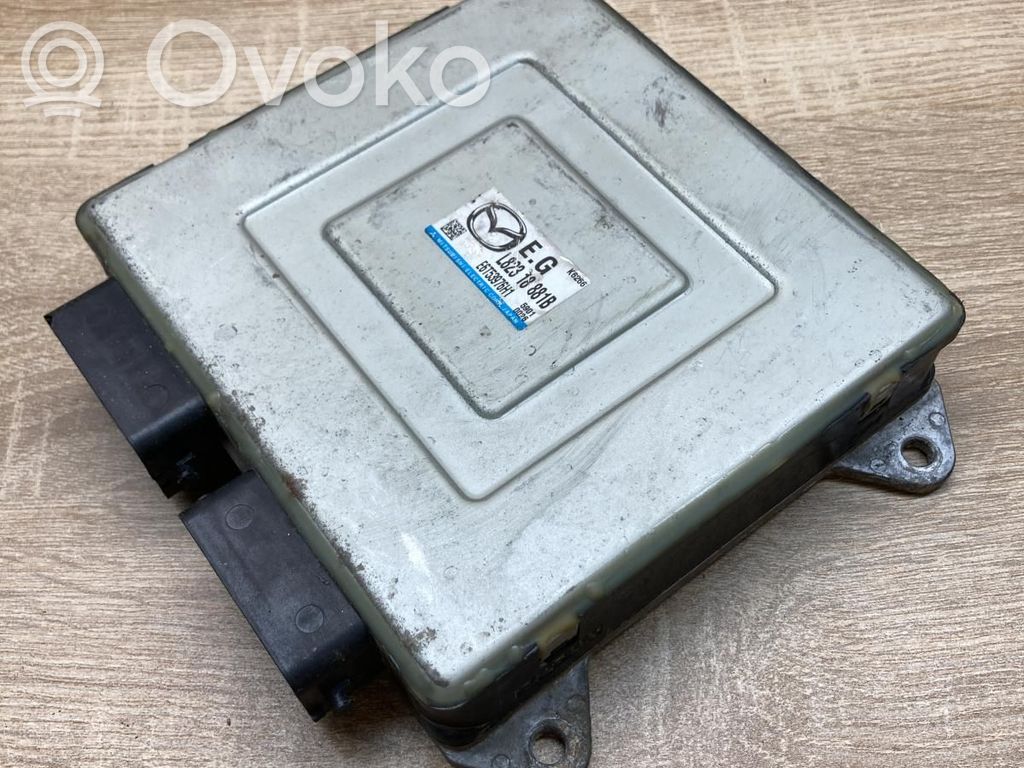 Engine control unit/module ECU   L82318881B,E6T53976H1