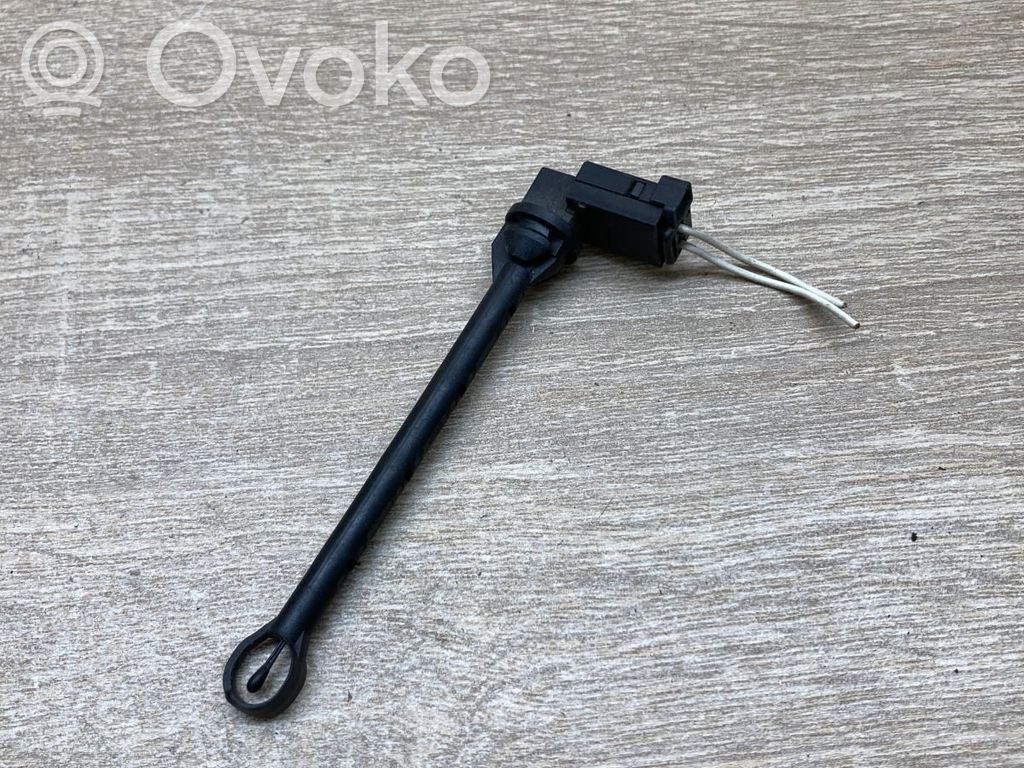 Ansaugluftsensor   9005592,100093